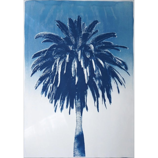 "Marrakesh Majorelle Palm", Cyanotype on Watercolor Paper, 100x70cm, Tropical Art 2020, Limited Edition For Sale