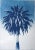 "Marrakesh Majorelle Palm", Cyanotype on Watercolor Paper, 100x70cm, Tropical Art 2020, Limited Edition For Sale