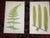 Antique 19th Century Botanical Fern Wood Engravings - Set of 12 For Sale In Cincinnati - Image 6 of 9