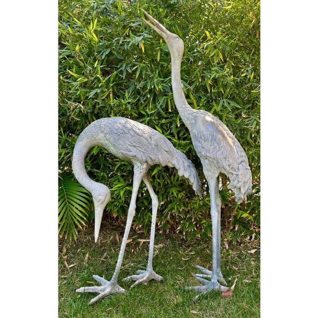 1920s Monumental Pair of Life-Size Bronze Crane Garden Sculptures With Verdigris... For Sale - Image 18 of 18