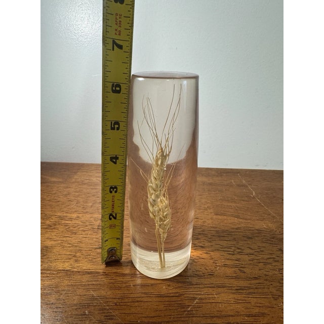 Vintage Daisyglas Hand Crafted Lucite Resin Wheat Paperweight Decor Campbell Ca For Sale - Image 10 of 11