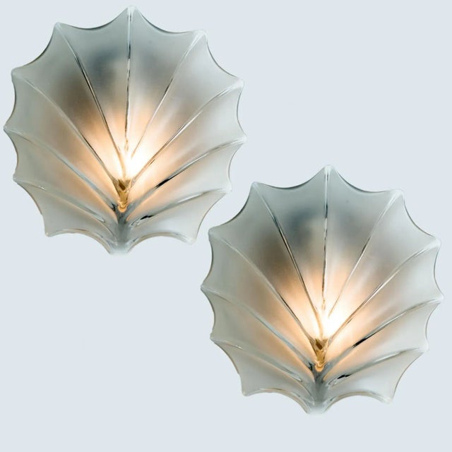 Leaf Shaped Glass Wall Lights, 1970s, Set of 2 For Sale - Image 16 of 18