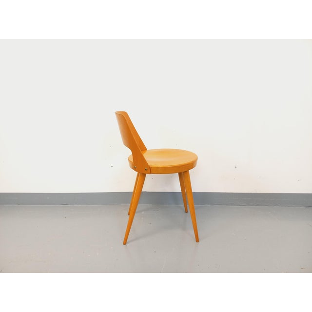 Wood Vintage Mondor Chair by Baumann, 1960s For Sale - Image 7 of 12