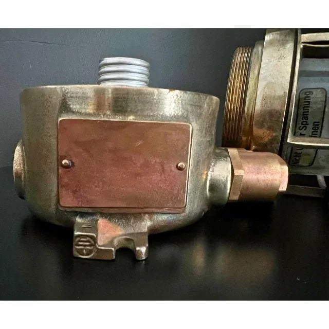 Early 20th Century Wiska Brass Cage Ship Ceiling Light With Two Side Conduits For Sale - Image 9 of 12