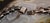 Metal Mid 20th Century Artisan Hand Crafted Chunky Sterling Silver Chain Choker Necklace Mexico For Sale - Image 7 of 16