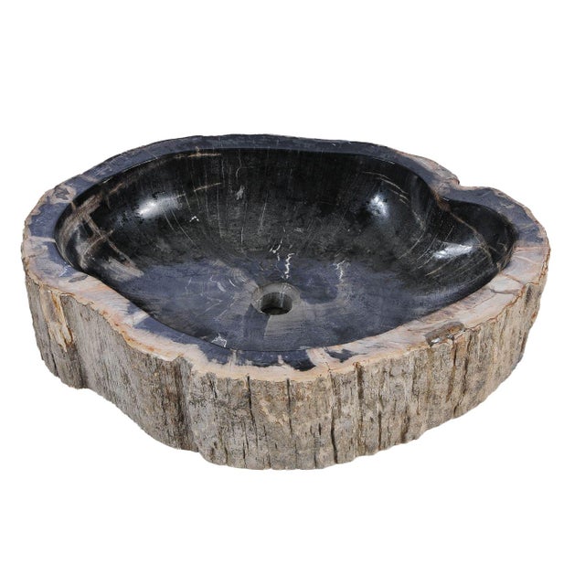 Beige Petrified Wood Hand Wash Basin by Xyleia Petrified Wood For Sale - Image 8 of 8
