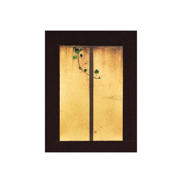 Kensho 2101, 2019 For Sale - Image 3 of 6