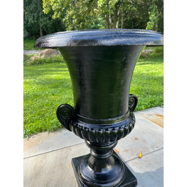 Black Late 20th Century Cast Iron Haddo House Urns - A Pair For Sale - Image 8 of 13