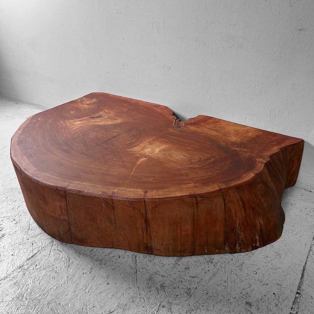 Yakusugi Wooden Tree Trunk Display, Japan, 1950s For Sale - Image 9 of 18