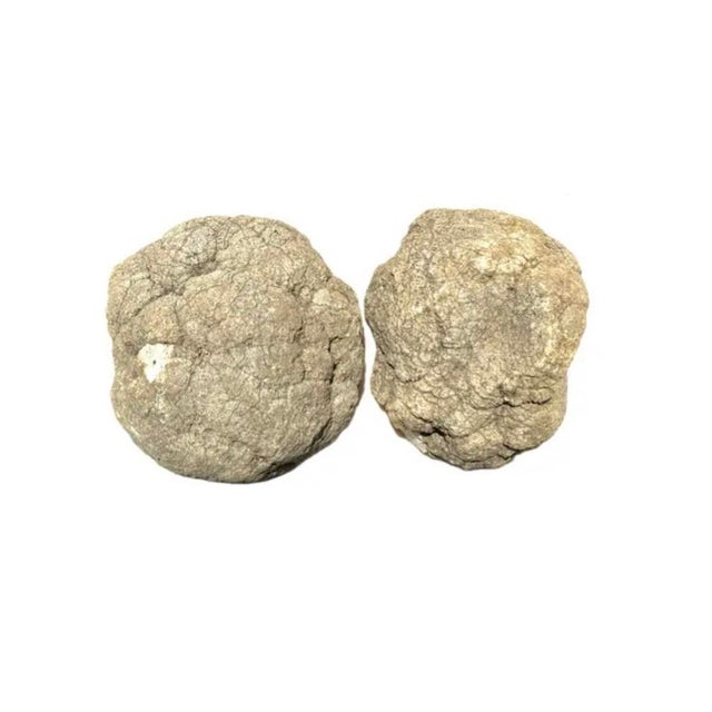 Early 21st Century Large Natural Split Pair Crystal Quartz Geode #1 For Sale - Image 5 of 12