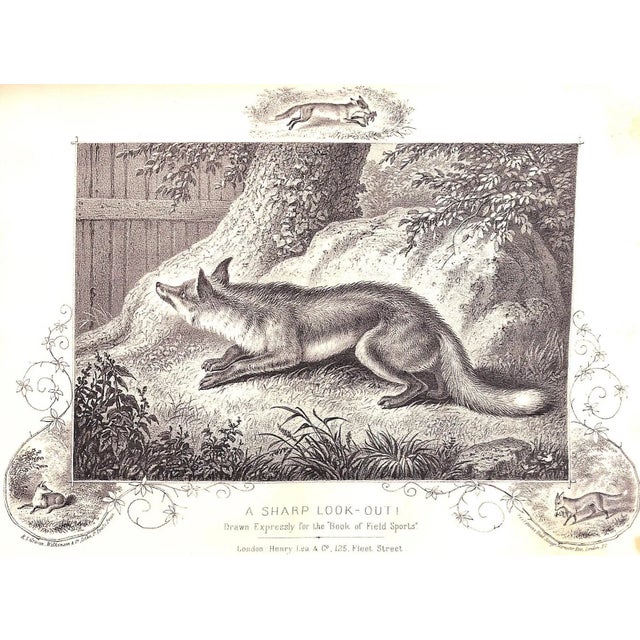 "The Book of Field Sports and Library of Veterinary Knowledge: Volumes I & Ii" 1870 Miles, Henry Downes [Edited By] For Sale In New York - Image 6 of 18