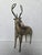 This elegant vintage sculpture of a deer showcases the beauty of the traditional metal casting technique called Dhokra...