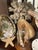 Wood 1900-1909 Great Seaworld Sea Shells Specimens Collection in Chinese Chinoiserie Rosewood Carved Vitrine For Sale - Image 7 of 14