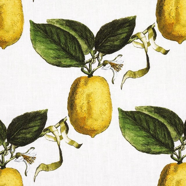 Contemporary Sample - Schumacher x Johnson Hartig Le Citron Fabric in Ivory For Sale - Image 3 of 5