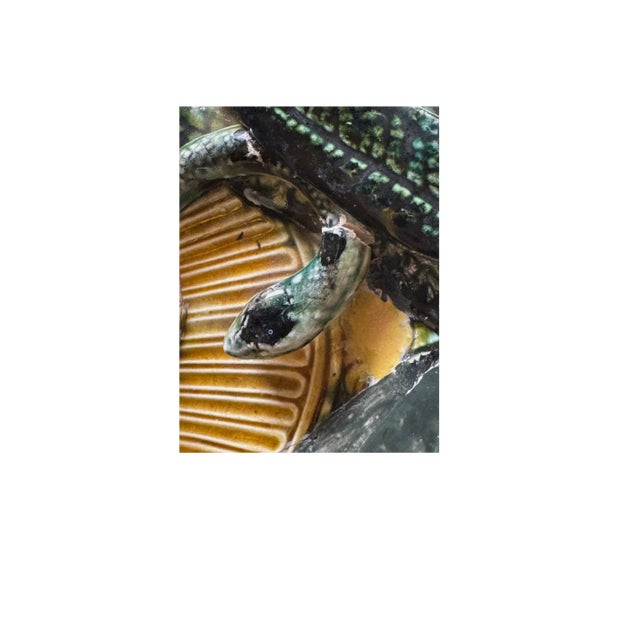 Yellow 19th C. French Ceramic Palissy Plate For Sale - Image 8 of 12