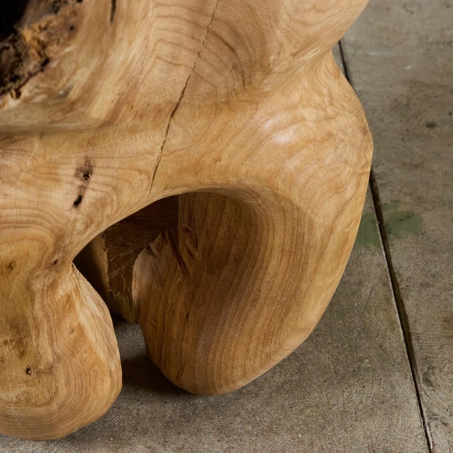 Biomorphic Wood Sculpture For Sale - Image 10 of 12