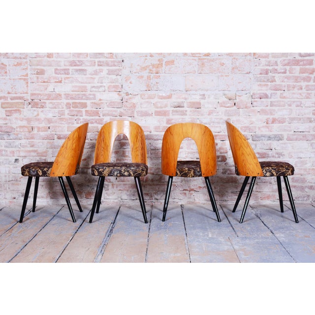 Brown Mid-Century Chairs in Beech & Oak, Slovakia, 1959, Set of 4 For Sale - Image 8 of 12