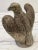 Stone Henri Studio Cast Concrete Vintage Eagle, the Perfect Decor for Your Garden, Original Patina a Very Nice Find. For Sale - Image 7 of 10