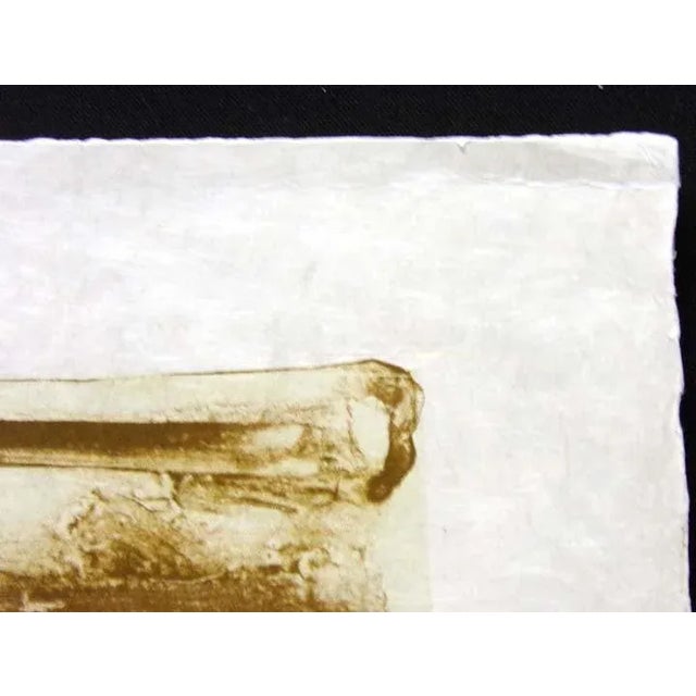 Aldo Luongo "Bjorn Borg" Art Hand Signed Lithograph on Japon Paper For Sale - Image 4 of 4