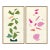 Vine and Rose Petals by Susan Hable For Sale