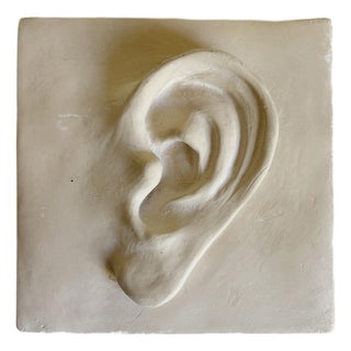 Vintage Plaster Relief of Ear For Sale