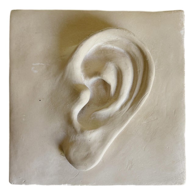 Vintage Plaster Relief of Ear For Sale