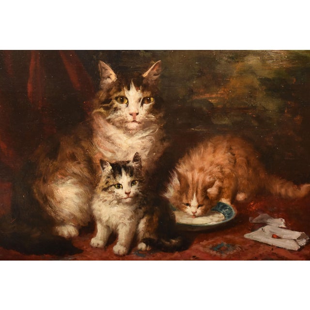 Jules Gustave Le Roy, Cats Portrait Painting, 1800, Oil Painting on Wood For Sale - Image 3 of 11