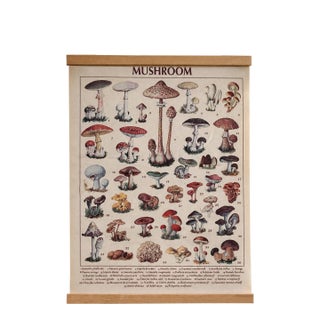 Vintage Mushroom Botanical Canvas Chart With Wood Rails, European Fungi Study Organic Modern Wall Hanging For Sale