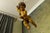 1950s German Baroque Revival Style Polychromed Carved Wood Putto Figure For Sale - Image 5 of 18