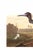 A striking example of early American natural history illustration, this vintage art print reproduction features Blue Crane...
