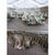 Top designer versatile trim puchased for Palm Beach Project and put in storage upon design change. 7 pieces of 5 yards...