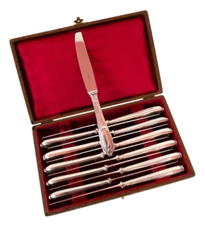 French Dessert Knives in Case from Ercuis Pompadour, Set of 12