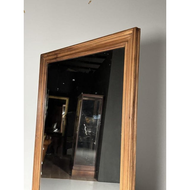 19th Century Belgian Full-Length Mirror For Sale - Image 11 of 18
