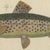 Bertuch, Five Trout with Salmon Trout and Alpine Char, 1805, Print For Sale - Image 4 of 12