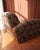 Vintage Upholstered Chaise Lounge With Botanical Fabric For Sale - Image 10 of 13