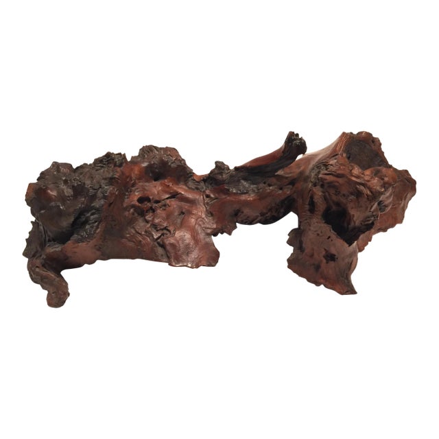 19th Century Japanese Meiji Wabi Sabi Root Form For Sale