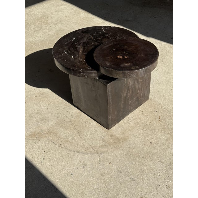 Coffee Table in Brown Petrified Wood with Double Circular Top on Cubic Base, Indonesia, 1980s For Sale - Image 9 of 16