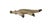 1980s Vintage Karaja Tribe Clay Ceramic Alligator Statue Brazil For Sale - Image 5 of 8