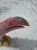 Late 20th Century Pink Quartz Stone Toucan Parrot on Onyx Tree Stump For Sale - Image 4 of 8