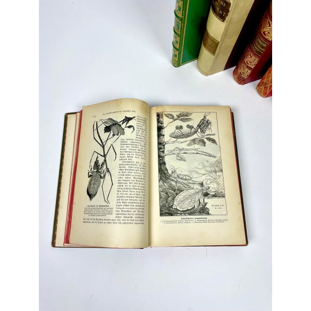 Late 19th Century Antique German Leather Decorative Books- a Set of 8 For Sale - Image 5 of 6