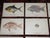This set of twelve (12) authentic 19th century chromolithographs (each color laid in with a separate lithographic stone)...