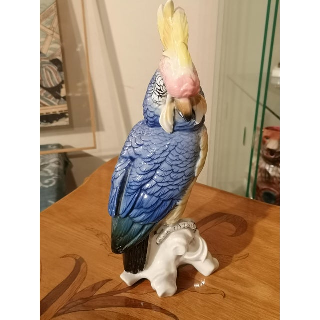 Blue porcelain parrot Bird figurine Porcelain bird Parrot figurine Parrot statue Parrot sculpture Saxe porcelain White,...