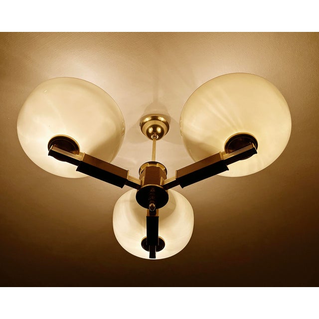 Large Art Deco Pendant Light in Wood and Glass, 1930s For Sale - Image 12 of 18