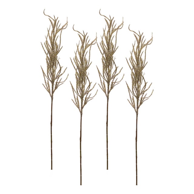 FlockedBeige Pampas Grass Spray (Set of 4) For Sale