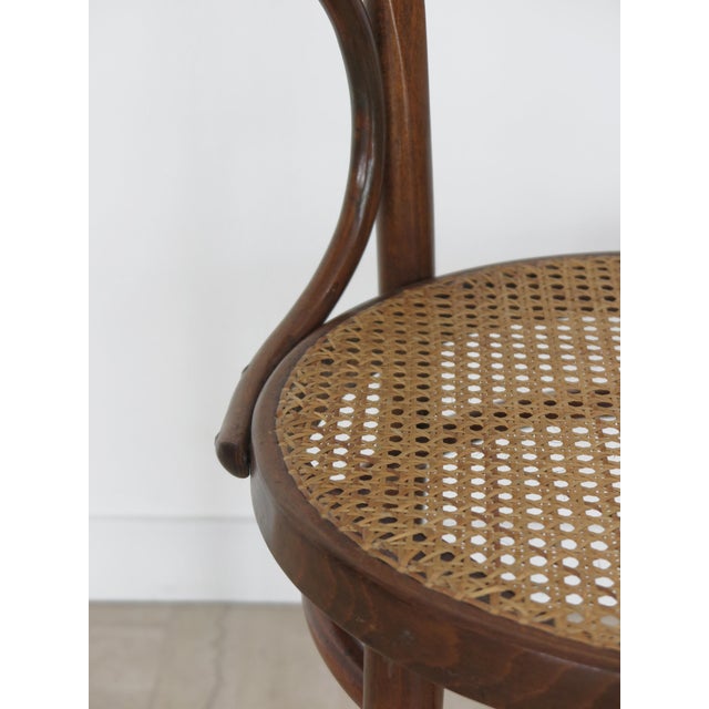Vintage Chairs by Michael Thonet for Thonet, 1930s, Set of 6 For Sale - Image 18 of 18