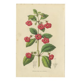 Charles Morren, Red Achimenes Flower Botanical, 1845, Lithograph For Sale