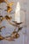 Mid 20th Century French Gilt Metal Maison Charles Inspired Five-Light Chandelier with Foliage For Sale - Image 11 of 11