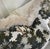 This lovely embroidered fabric with it 's leafy towering trees, is light and airy against an off white ground. Shades of...