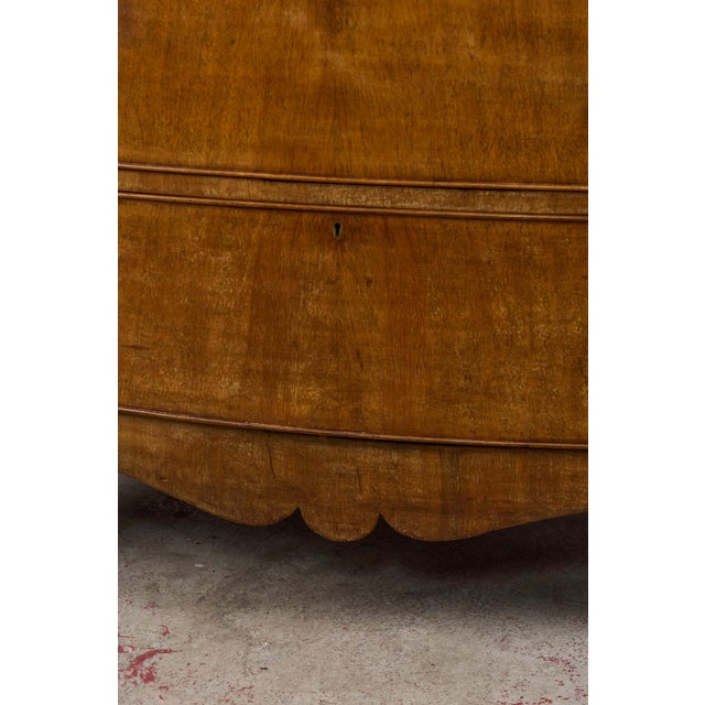 19th Century Mahogany Chest With Lion Head Pulls For Sale - Image 10 of 14