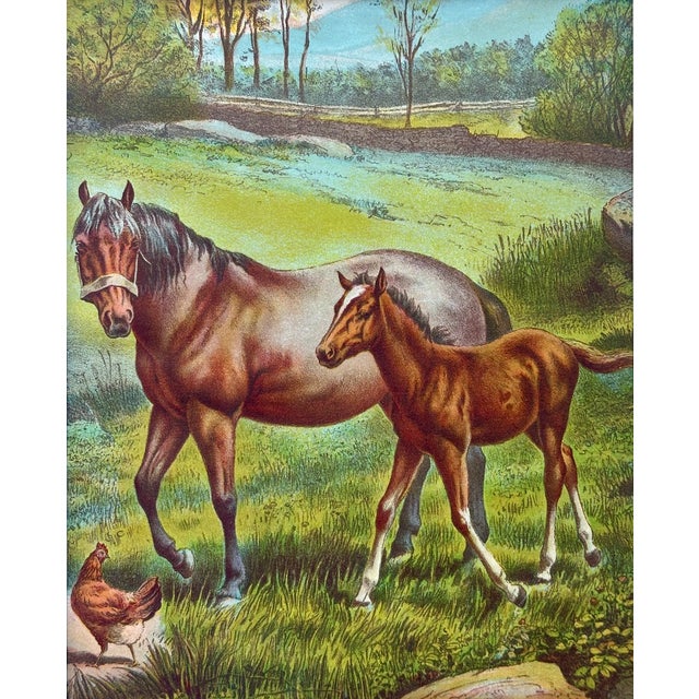 Original chromolithograph illustration of a brown mare and her foal in a lush pasture appears to be a mid-century...